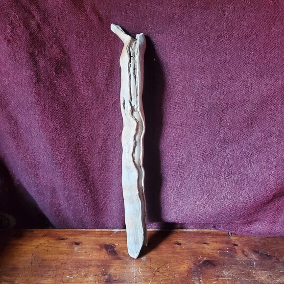 Driftwood Decor - 13" - Terrarium Taxidermy Aquarium Aquascape Reptile Parrott - Picture 5 of 9